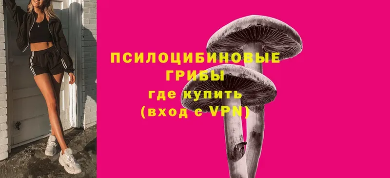 Псилоцибиновые грибы Cubensis  Астрахань 